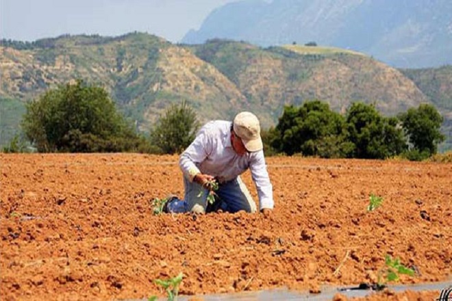 Στο 25% του ΑΕΠ της Ελλάδας η αδήλωτη οικονομία