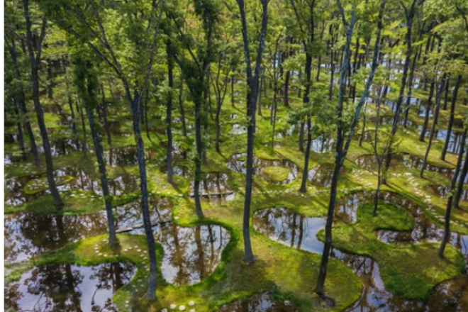 Βραβείο για το αρχιτεκτονικό «Water Garden» του Junya Ishigami