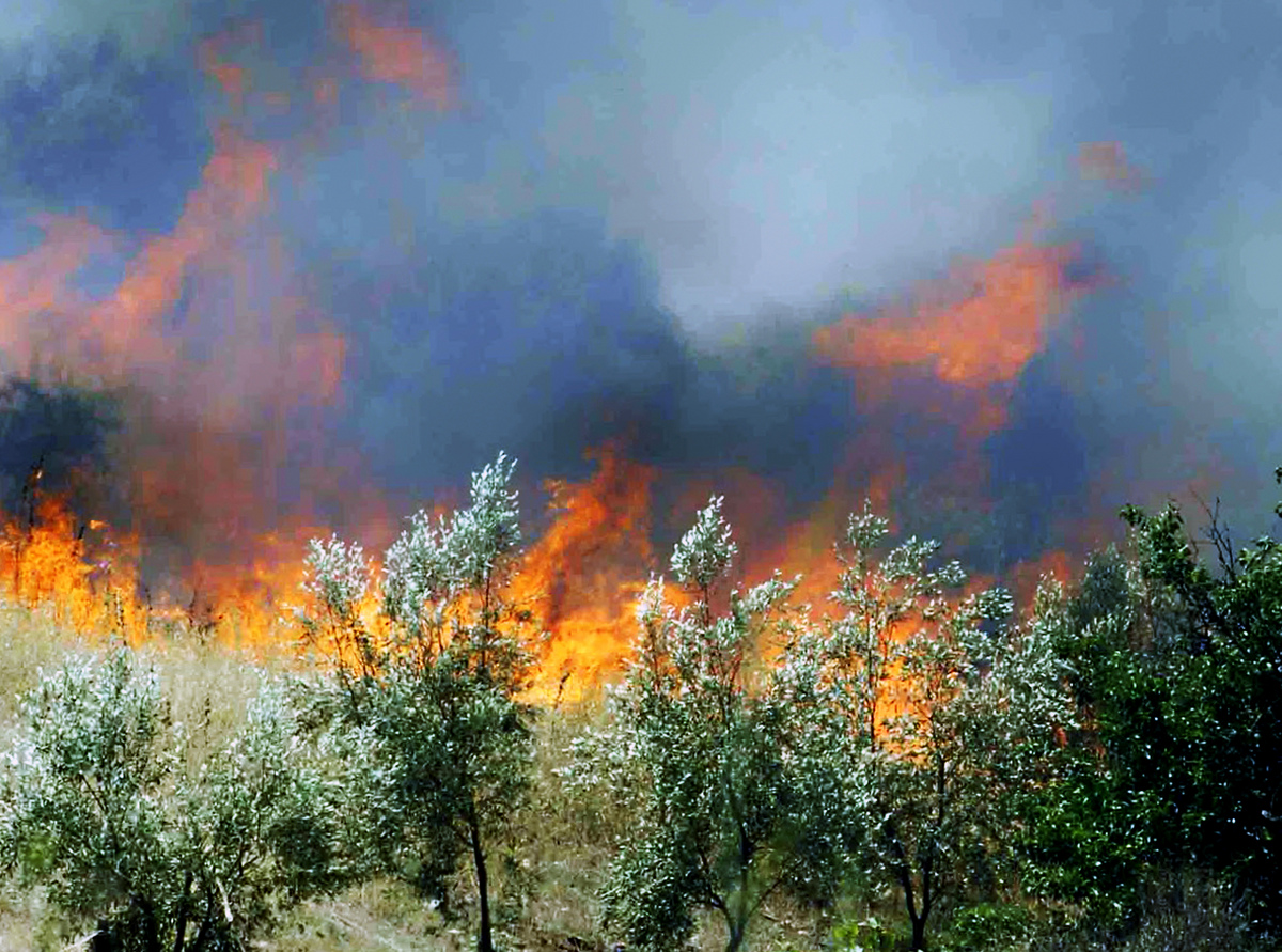 Στην Κρήτη ο υψηλότερος κίνδυνος πυρκαγιάς τη Δευτέρα – Ο χάρτης της ΓΓΠΠ