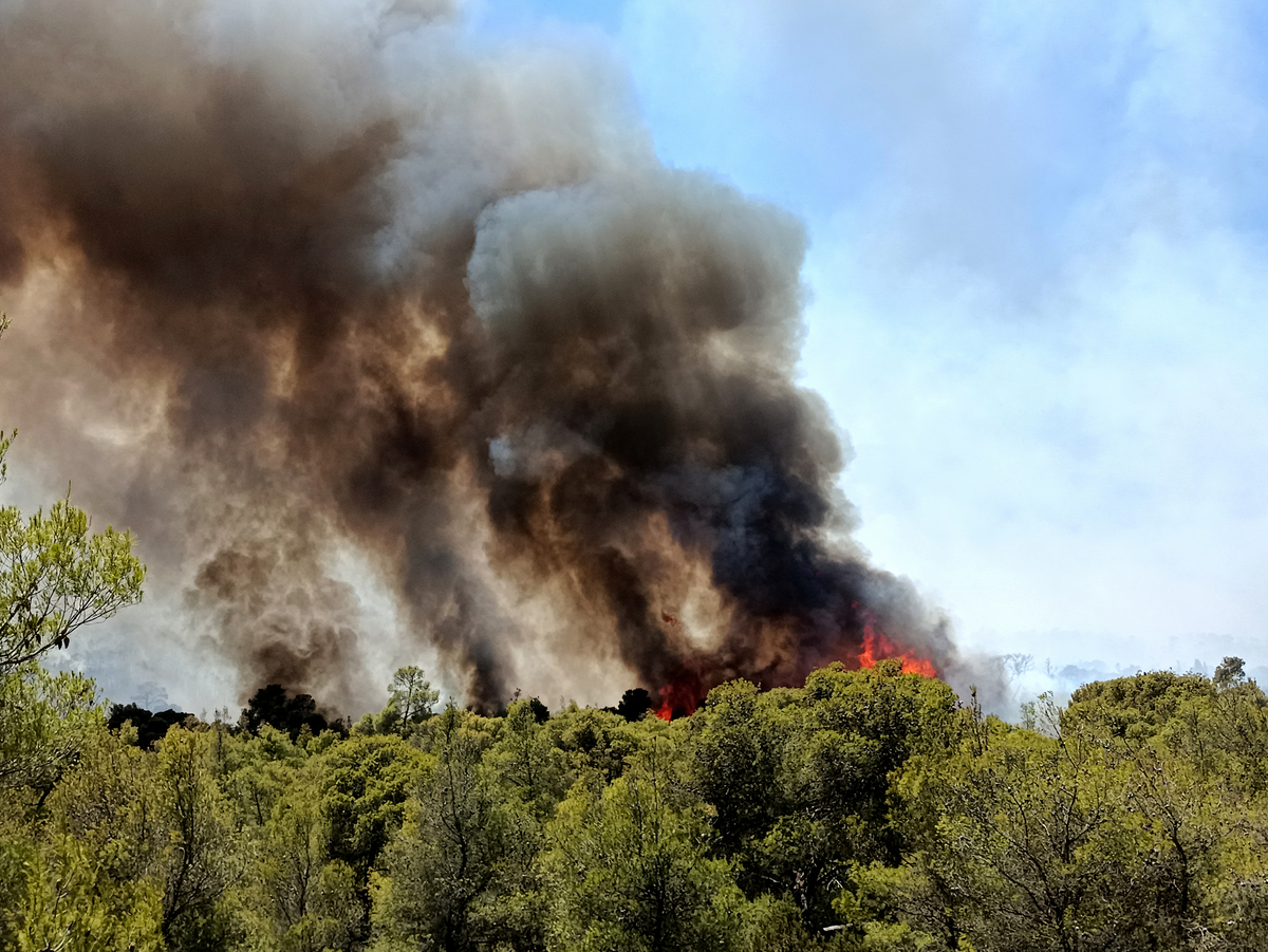 Το Red Alert για την Πολιτική Προστασία και οι πόροι του Ταμείου Ανάκαμψης