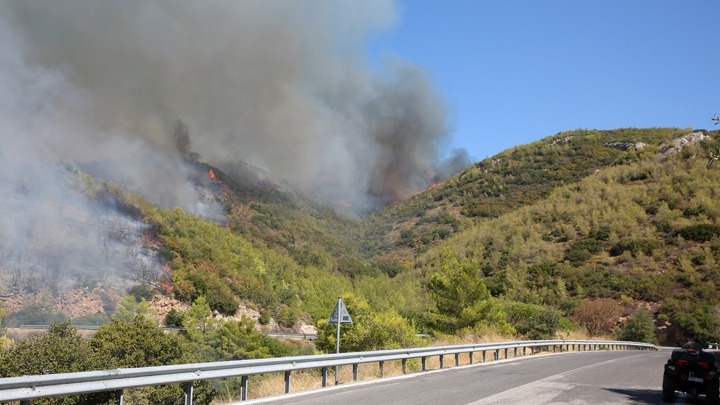 Φωτιά στην Αττική: Σκληρή μάχη σε δύο μέτωπα, Γραμματικό και Καλλιτεχνούπολη