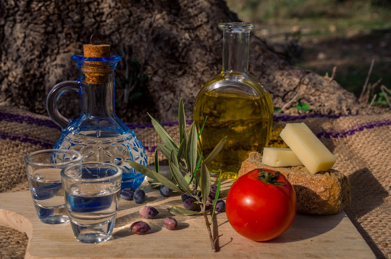 Τα ελληνικά τρόφιμα πρωταγωνιστούν στις εξαγωγές το 2024. Φέτα γιαούρτι και ελαιόλαδο στις πρώτες θέσεις