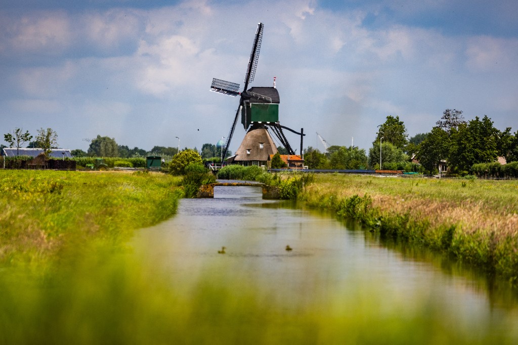 windmill