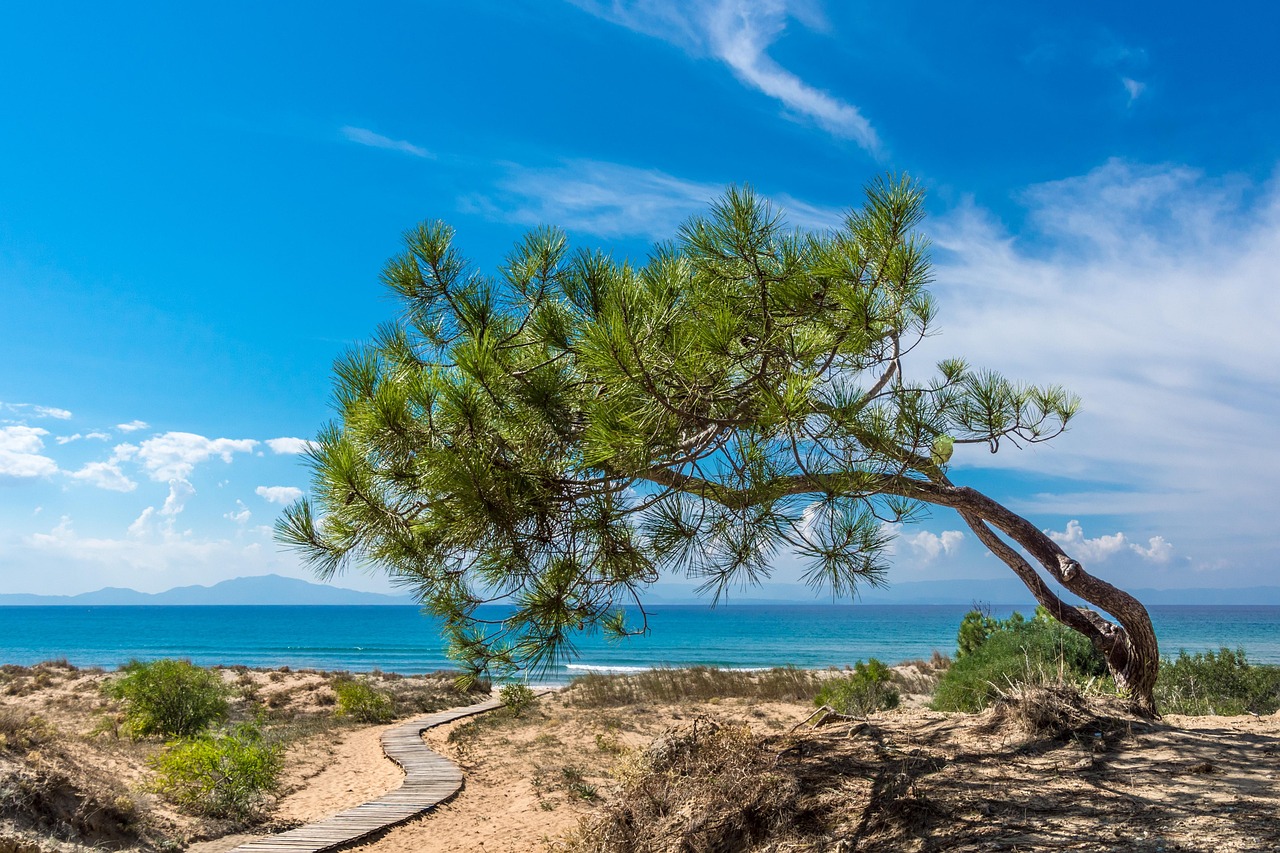 Καταστρέφουν Γερμανοί επενδυτές την ελληνική φύση;